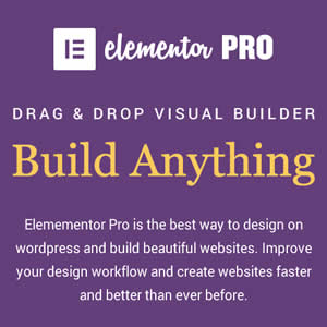Elementor Pro Best Visual Page Builder