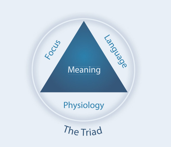Emotional Mastery With The Triad